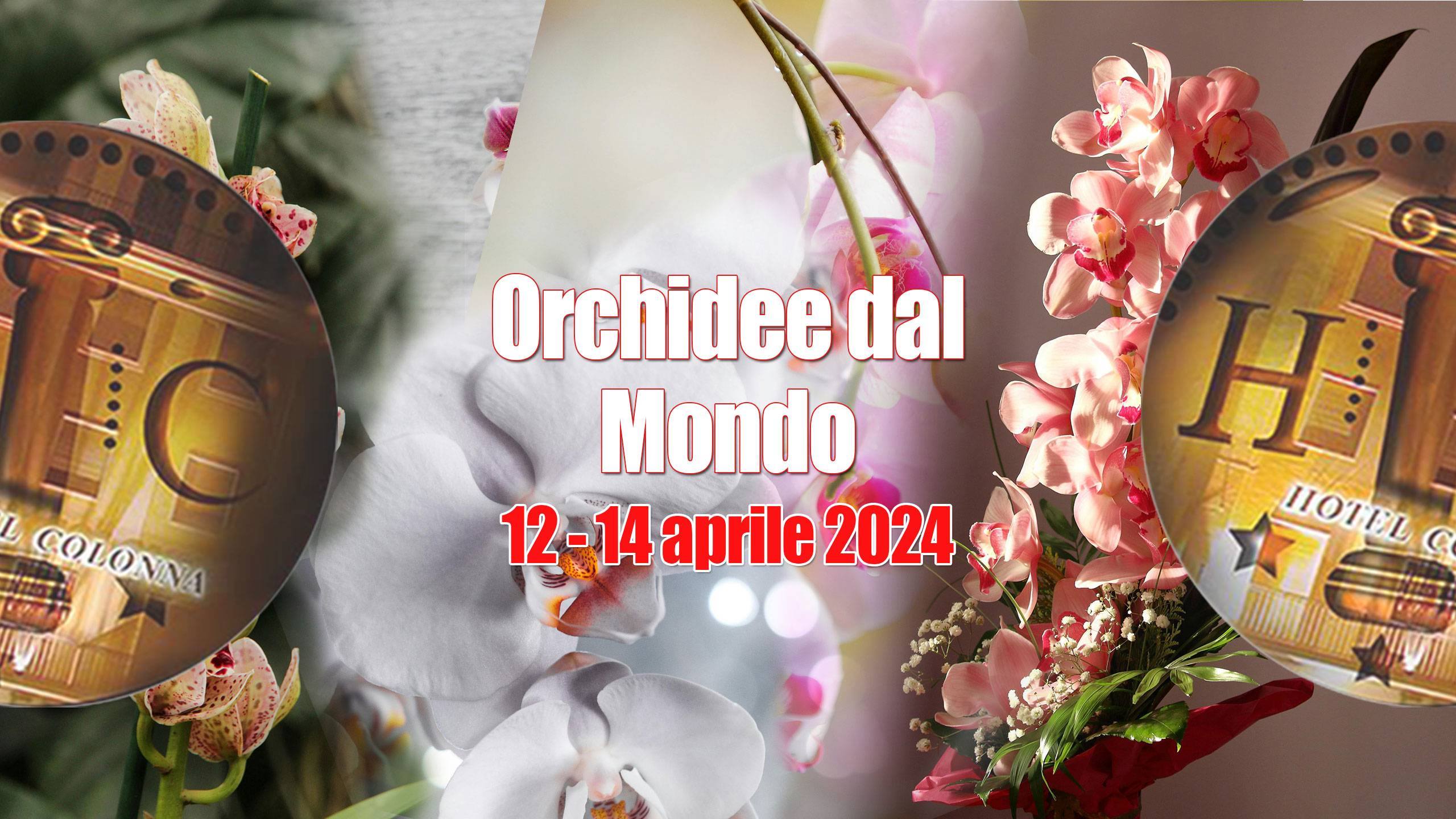 2560/orchidee-dal-mondo.jpg